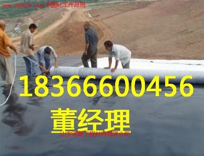 河北玻纖格柵廠家諾聯(lián) 高清產(chǎn)品圖與樣板圖賞析——中國(guó)化工產(chǎn)品網(wǎng)聚焦玻璃纖維